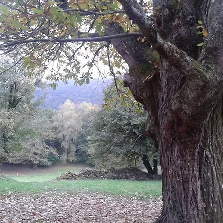 Legran Villa Saléchan